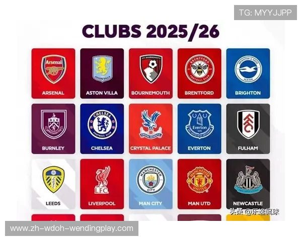 浅析2018年英超球队市值与其他联赛的对比 浅析2018年英超球队市值与其他联赛的对比