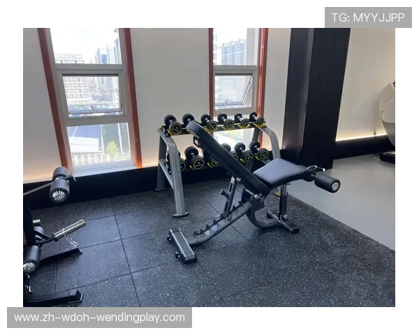 哪里能买到优质健身器材及购物平台推荐